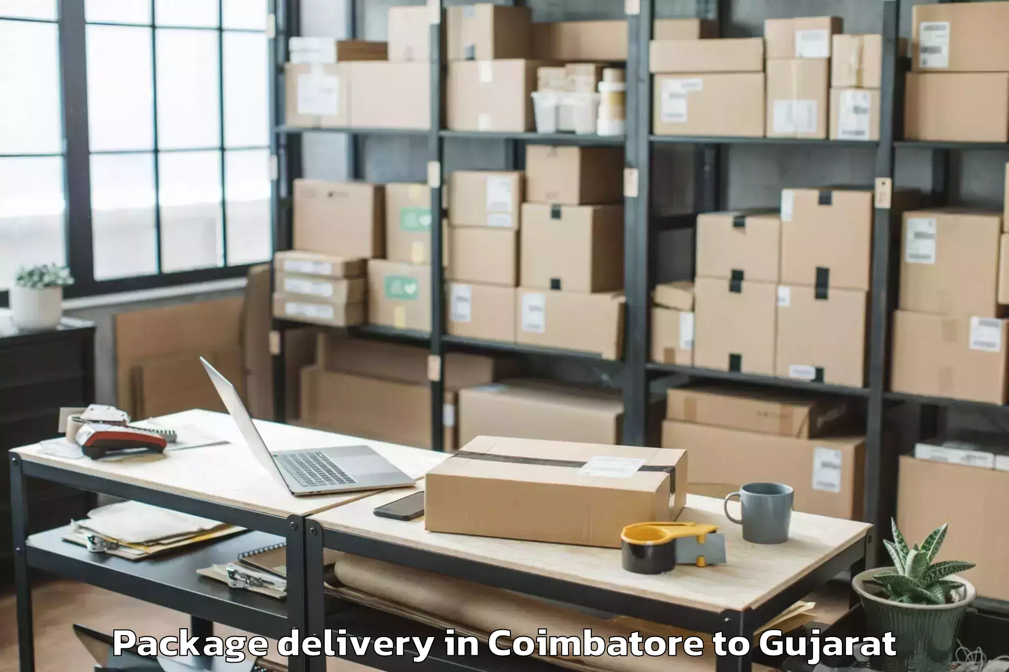 Affordable Coimbatore to Rai University Ahmedabad Package Delivery